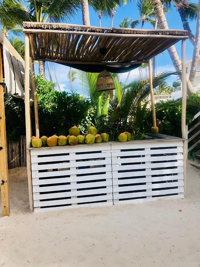 بونتا كانا Ducassi Rooftop Pool Suites Beach Club And Spa Los Corales Beach جمهورية الدومينيكان